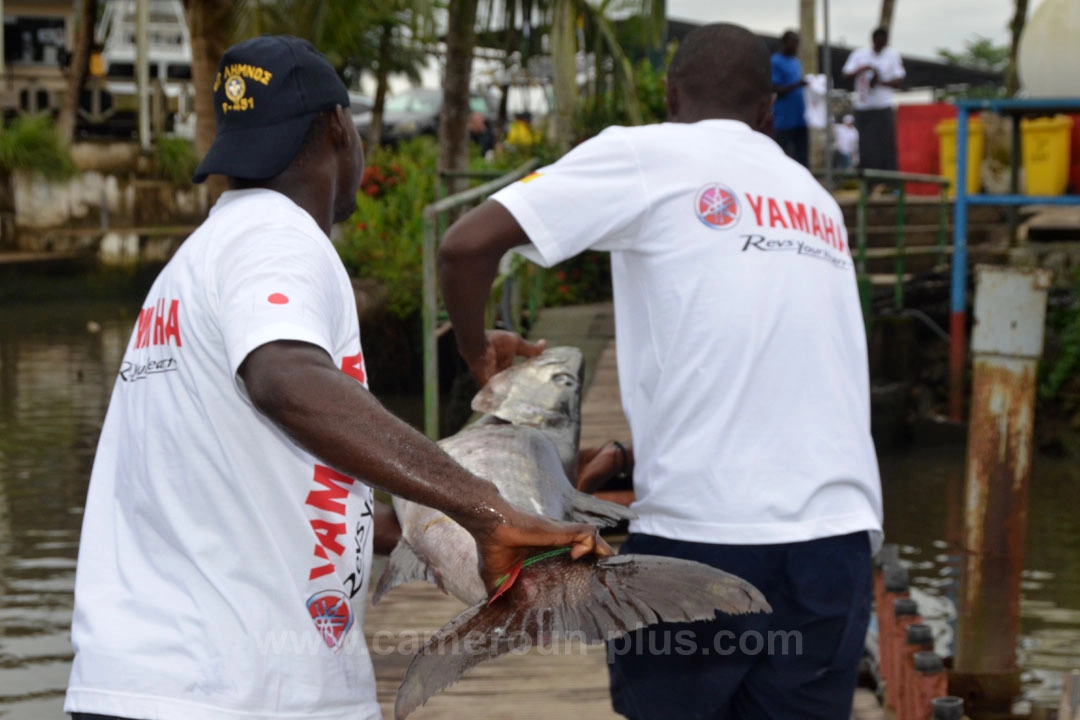 Concours de pêche barracuda (2017)