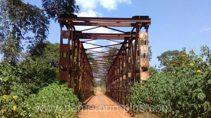 Traid du Cameroun, 30ème Traid du Cameroun (2018)