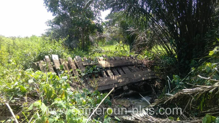 Traid du Cameroun, 30ème Traid du Cameroun (2018)