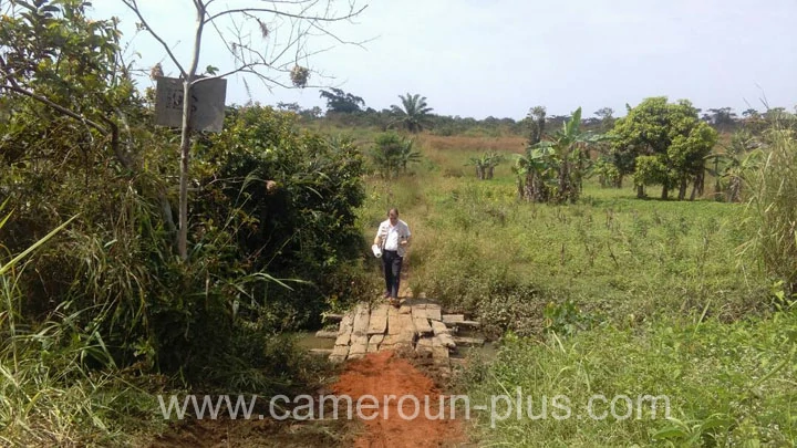 Traid du Cameroun, 30ème Traid du Cameroun (2018)