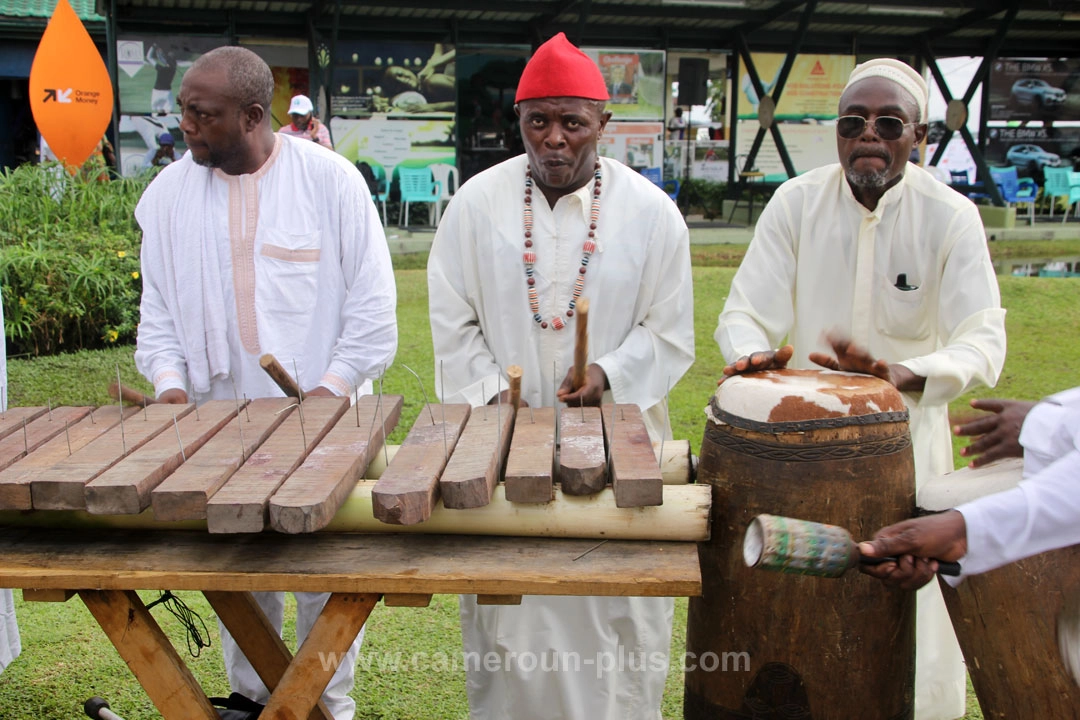 Cameroun, sports & loisirs, golf, FESTIVAL PA