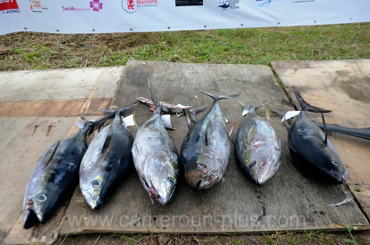34ème Challenge international de pêche sportive du Cameroun (2024) - Premier jour 12