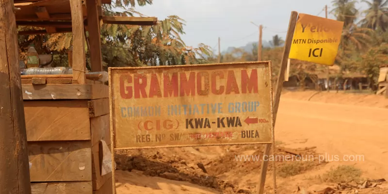 Cameroun, commune, géographie, Buea