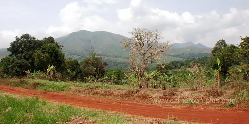 Cameroun, commune, géographie, Bakou