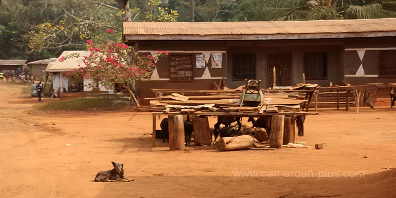 Cameroun, commune, géographie, Afanloum