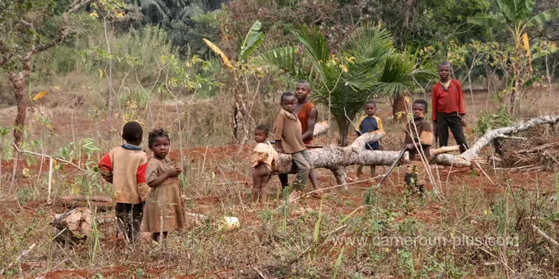 Cameroun, commune, géographie, Bali