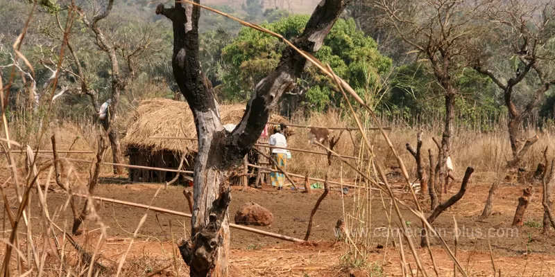 Cameroun, commune, géographie, Andek