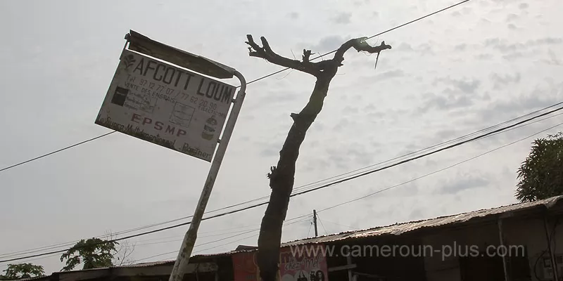 Cameroun, commune, géographie, Loum