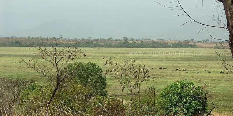 Cameroun, commune, géographie, Malantouen