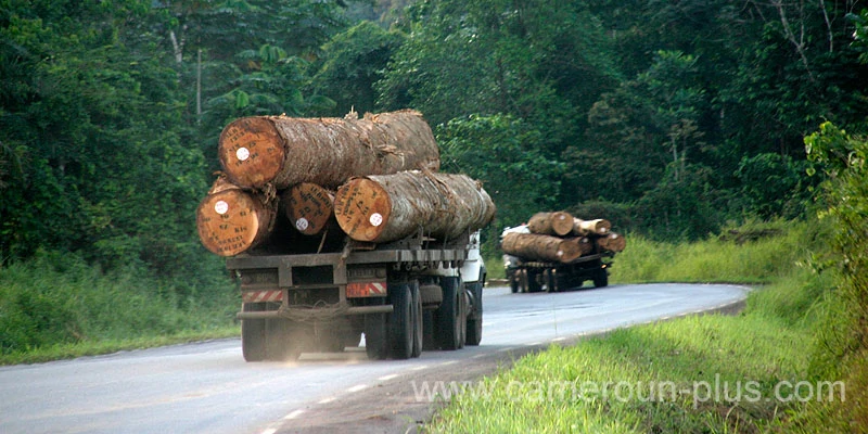 Cameroun, commune, géographie, Matomb