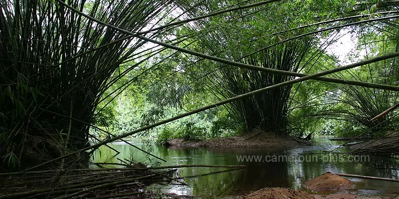 Cameroun, commune, géographie, Mvengue