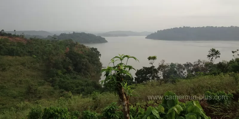 Cameroun, commune, géographie, Dizangue