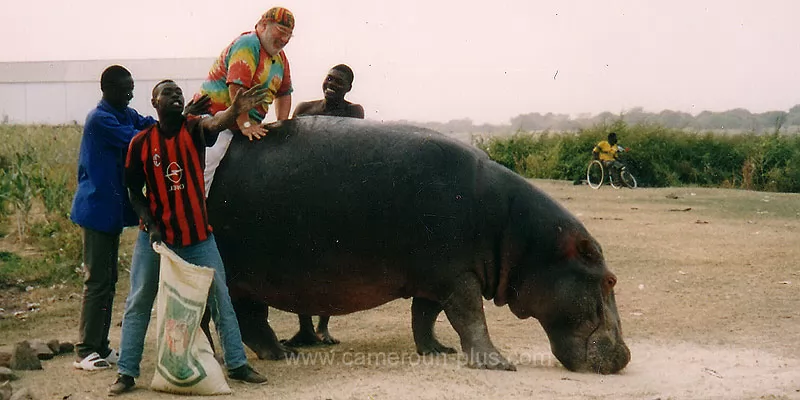 Cameroun, commune, géographie, Gashiga