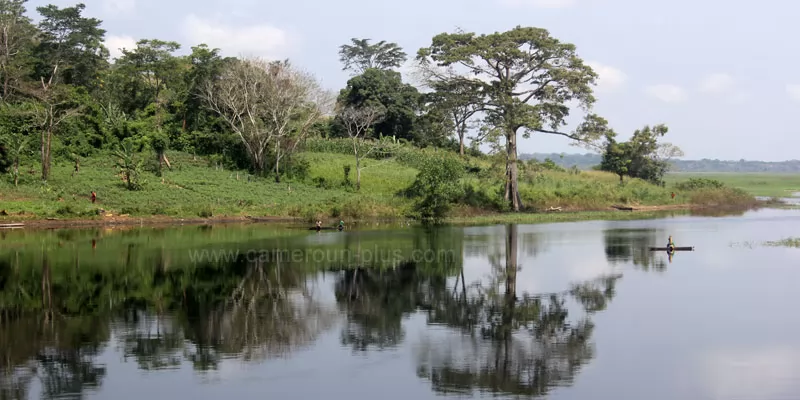 Cameroun, commune, géographie, Angossas