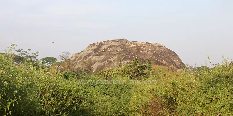 Cameroun, commune, géographie, Nguelebok