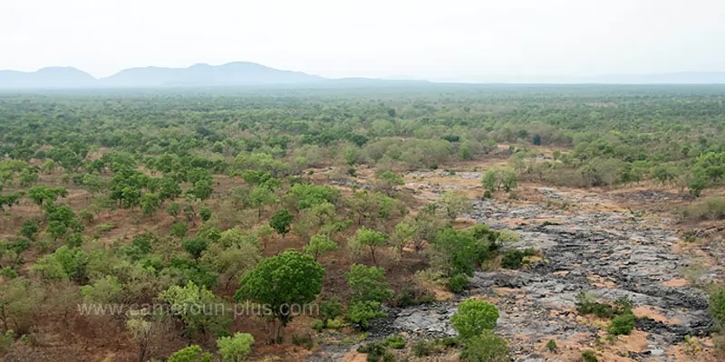 Cameroun, département, géographie, Mayo-Rey