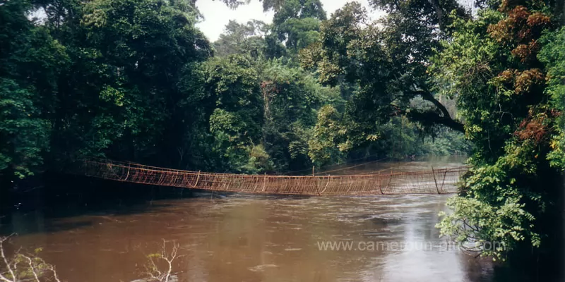 Cameroun, département, géographie, Meme