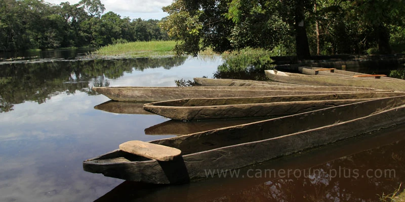 Cameroun, département, géographie, Nyong-et-Mfoumou