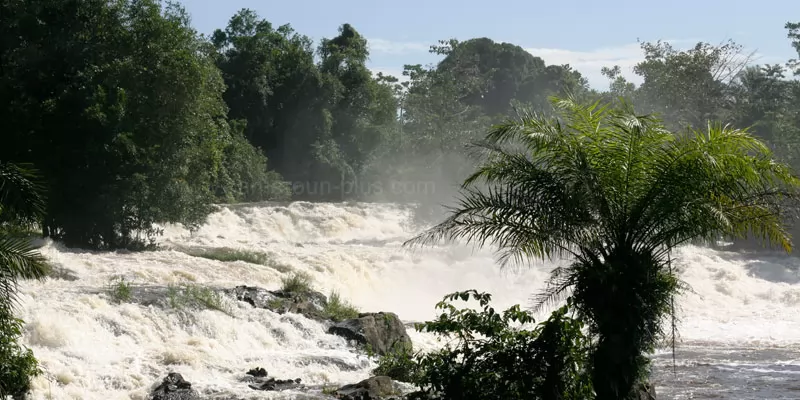 Cameroun, département, géographie, Océan