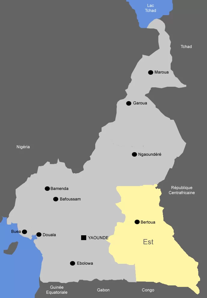 Cameroun, carte, géographie, Est