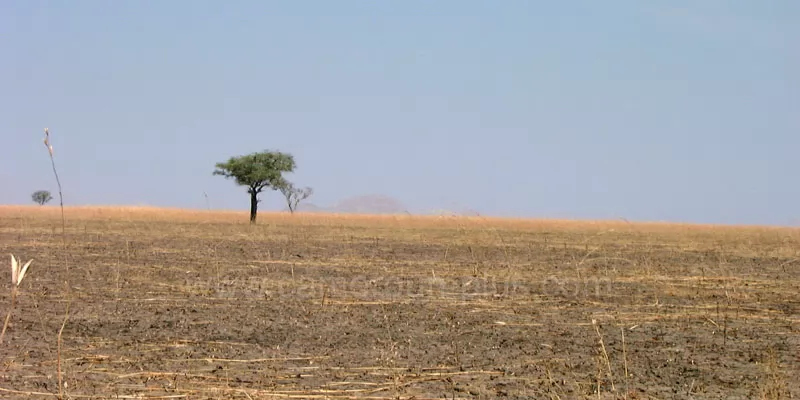 Cameroun, province, géographie, Extrême-Nord