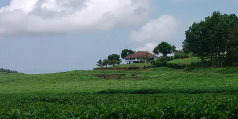 Cameroun, commune, géographie, Idabato